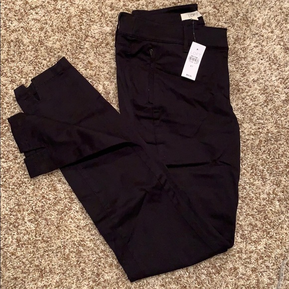LOFT Pants - New! Loft pants